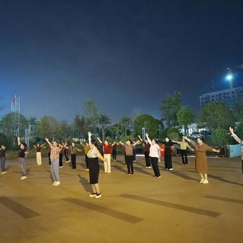 岐山社区盛地领航城广场舞庆祝九九重阳节