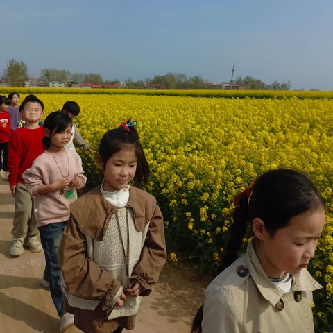 沙口集乡斗门博爱小学——“油菜花之旅📷”