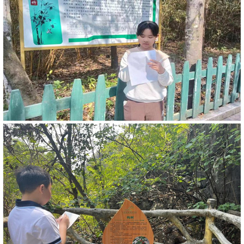 【善爱教育】探寻自然之美  收获成长之乐——肇庆鼎湖逸夫小学“最美鼎湖山”项目式活动纪要