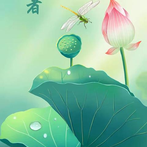 🍉“悄然小暑至，悠悠盛夏始”