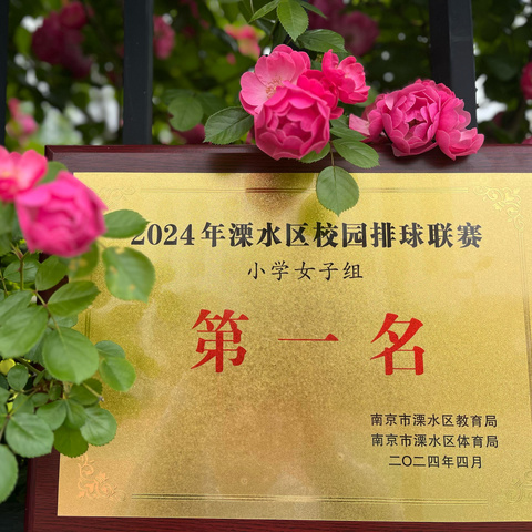 喜报：热烈祝贺溧水区第三小学女子排球队三连冠！