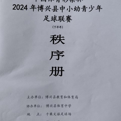 “雏鹰展翅  志在九霄”——湖滨镇寨卢小学参加2024博兴县“县长杯”足球联赛纪实