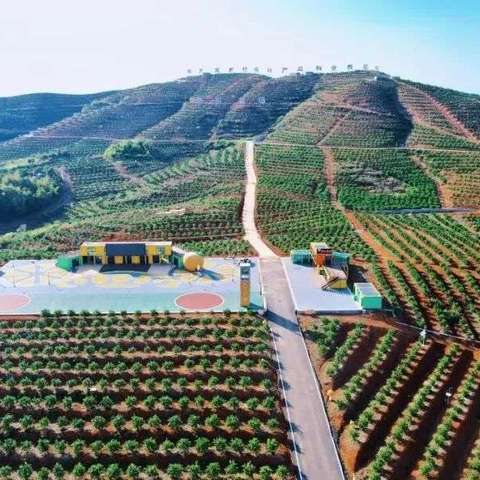 【课题动态16】享脐橙之甜 沐自然之美 ——腊市镇第二幼儿园开展采摘脐橙活动