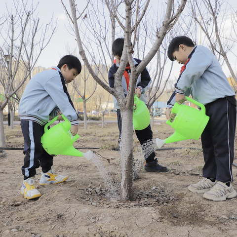 “植”此青绿   共“树”未来——曙光第二小学植树节系列活动