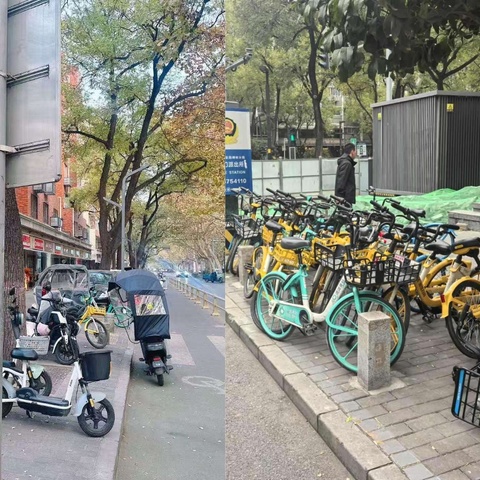 碑林城管：聚焦非机动车“顽疾”，畅通城市道路“脉络”