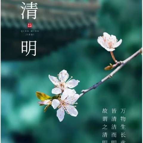 “人间四月天☀️·清明踏青时🍃” ——泊岗乡中心幼儿园清明节活动