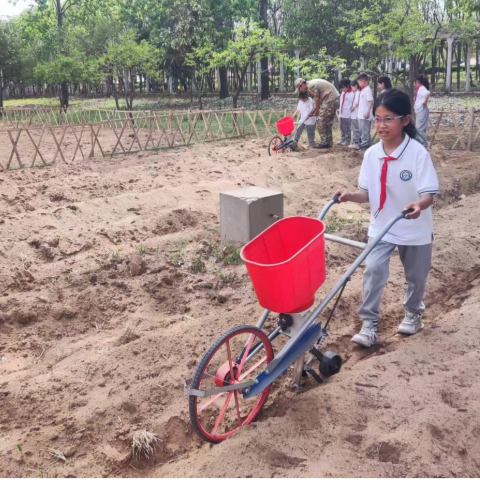 绿色点亮生活，健康护佑生命——记郑州经济技术开发区后王小学劳动主题实践活动