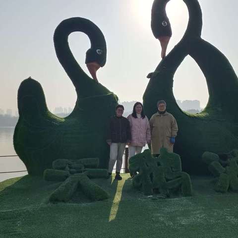 走进三门峡、共赴天鹅之约