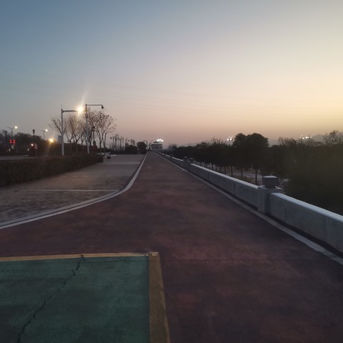 每天坚持早起晨练有感