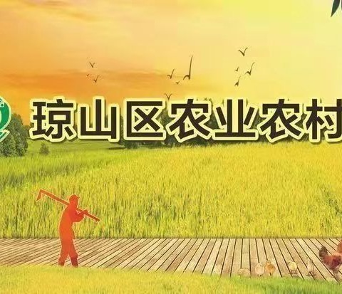 琼山区农业农村局做好节后复工复产沼气安全生产检查工作