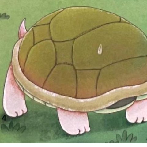 中二班十二周周汇报