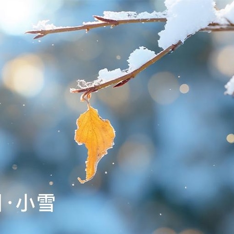 小雪