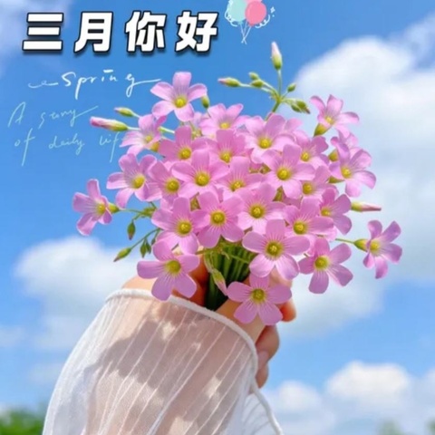 工程班组文化墙