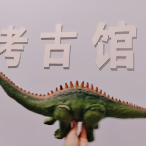 日月星城星期八小镇幼稚园 小二班职业体验～认识恐龙🦕