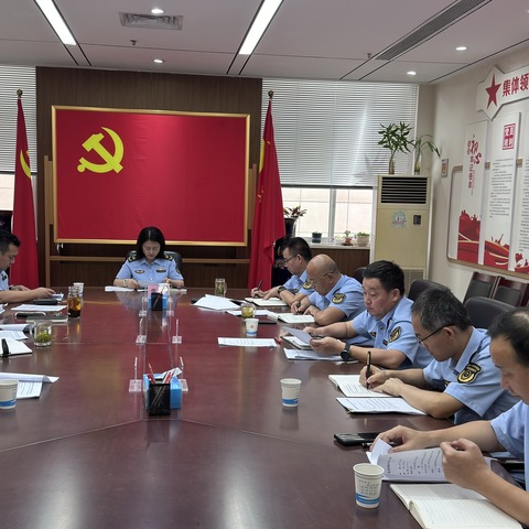 综合执法支队 召开2024年第8次党委理论学习中心组学习（扩大）会议