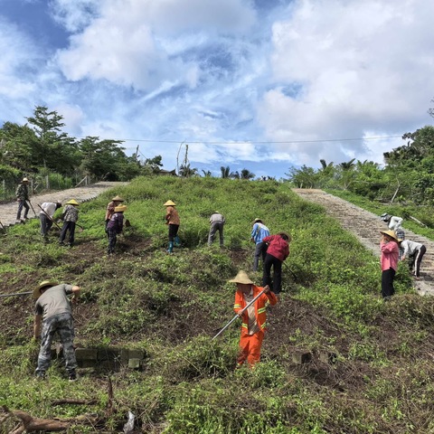 东英镇组织干部职工对高山岭进行环境卫生整治