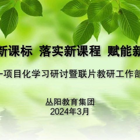 聚焦新课标 落实新课程 赋能新课堂——丛阳教育集团英语项目化学习研讨暨联片教研工作部署