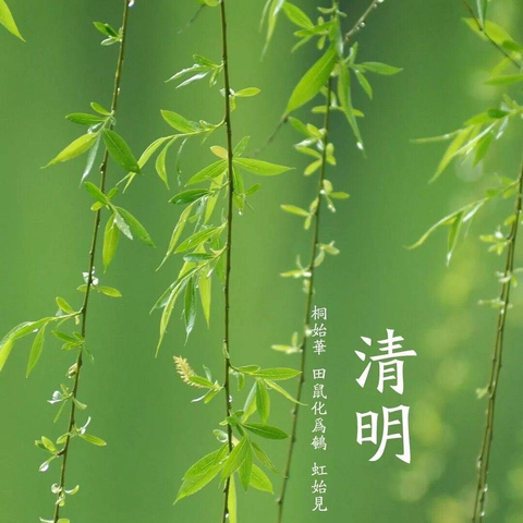 云梦组清明节假总结￼