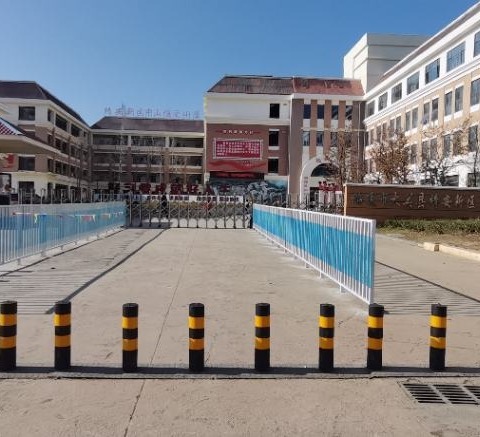 靖安镇中心小学2025年春季学期“小学期”制校本培训活动简报