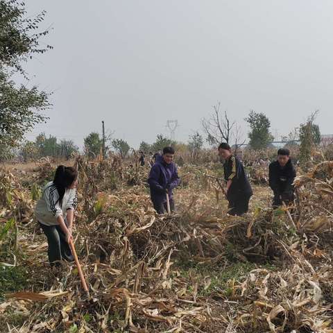 劳动基地秋收忙 体验农活促成长——长治职业技术学院航旅系劳动教育实践活动