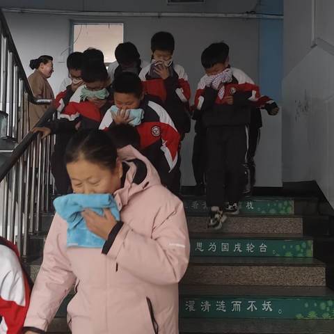 【青华活动】让思维看得见——五常市青华小学校第八届思维导图创作大赛