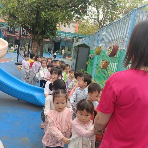 🌳走进自然，快乐采摘——钟落潭村幼儿园小一班
