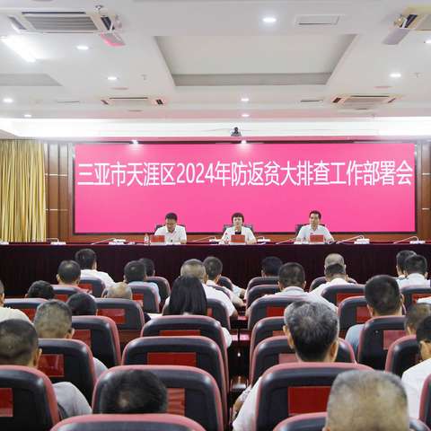 天涯区召开2024年防返贫监测大排查工作部署会