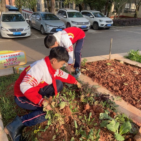 幸福播种——种植主题活动