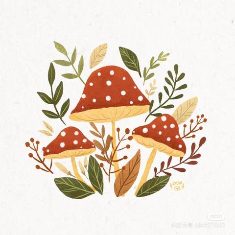 邹平市韩店镇中心幼儿园大五班班本课程——《 我们的“菇”事》