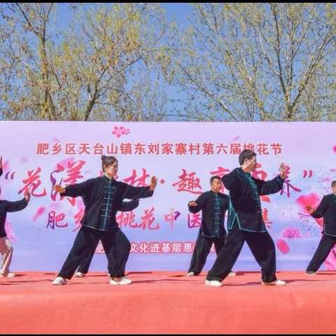 肥乡区计生协“志愿送春暖”活动走进东刘家寨村