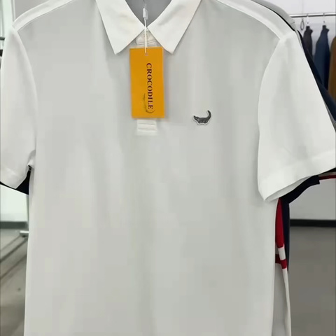 【鳄鱼CROCODILE】男装翻领POLO衫25夏👔