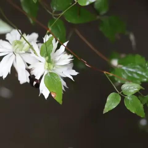 暖风乘夏意 研修提素养——莲都区初中英语教师90学分培训（丽水专场第二天）