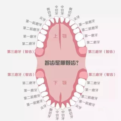 【逸乐医院】日常口腔护理小知识