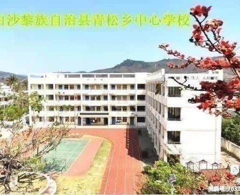 青松乡中心学校语文组第一次教研活动