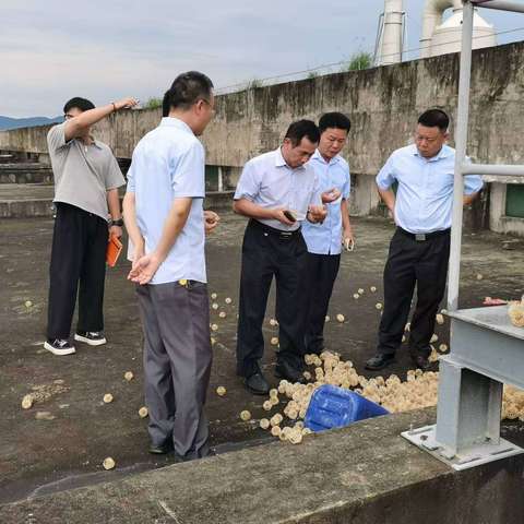 金橡公司党委书记、总经理蔡笃坤一行到金兴加工分公司开展环保治理工作调研督导