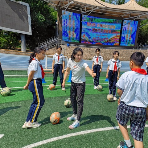 塑造品格  开发智慧——2024年邢台市小学体育与健康优质示范课复赛