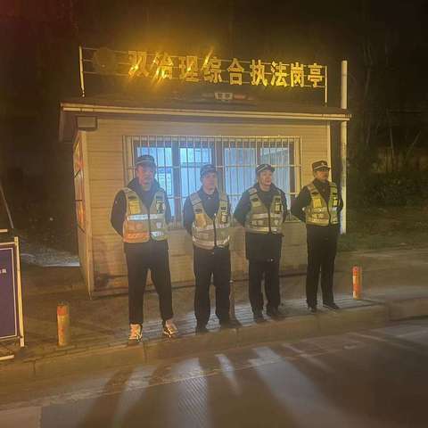 东湖风景区夜间执法情况汇总