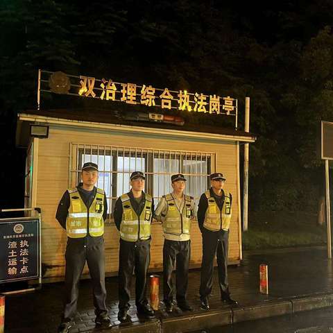 东湖风景区夜间执法情况汇总