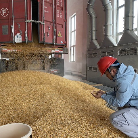 节后迅速归位 漳浦库筑牢粮食安全防线