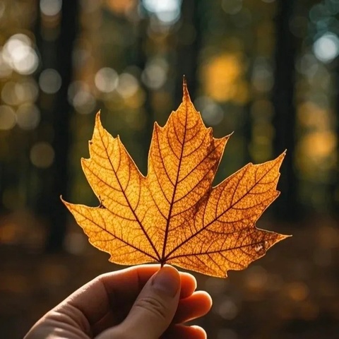 皮防科普从0起步，本年度3个作品入围市级奖项