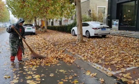 清扫雨后落叶，保障城区环境