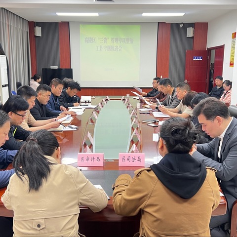 高陵区║召开“三资”管理专项整治工作推进会