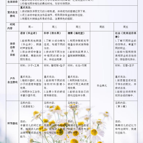 宝贝周记2024.6.24-6.28—— 大三班