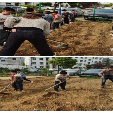马路河小学开展田园耕种指导活动