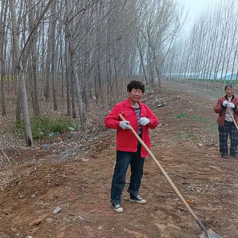 推进乡村绿化美化，持续改善人居环境