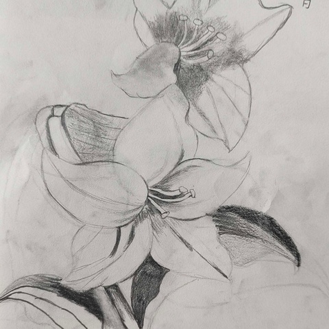 7.20下午4-6学生作品