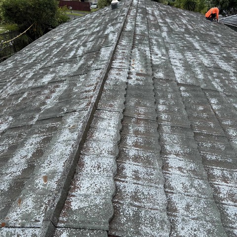 38 sequoia place Forrest hill Roof painting