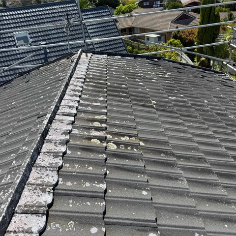 16B Ronald Macken Place North Shore 屋顶状况汇报