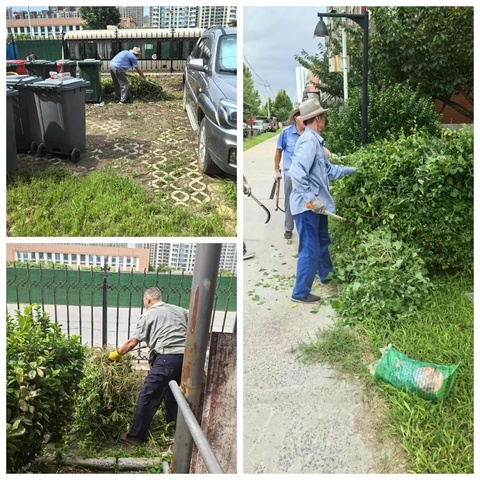 赵仙庄村开展夏季环境卫生大扫除活动