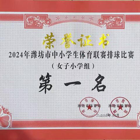 喜报!奎文区孙家小学女子排球队再夺潍坊市冠军！